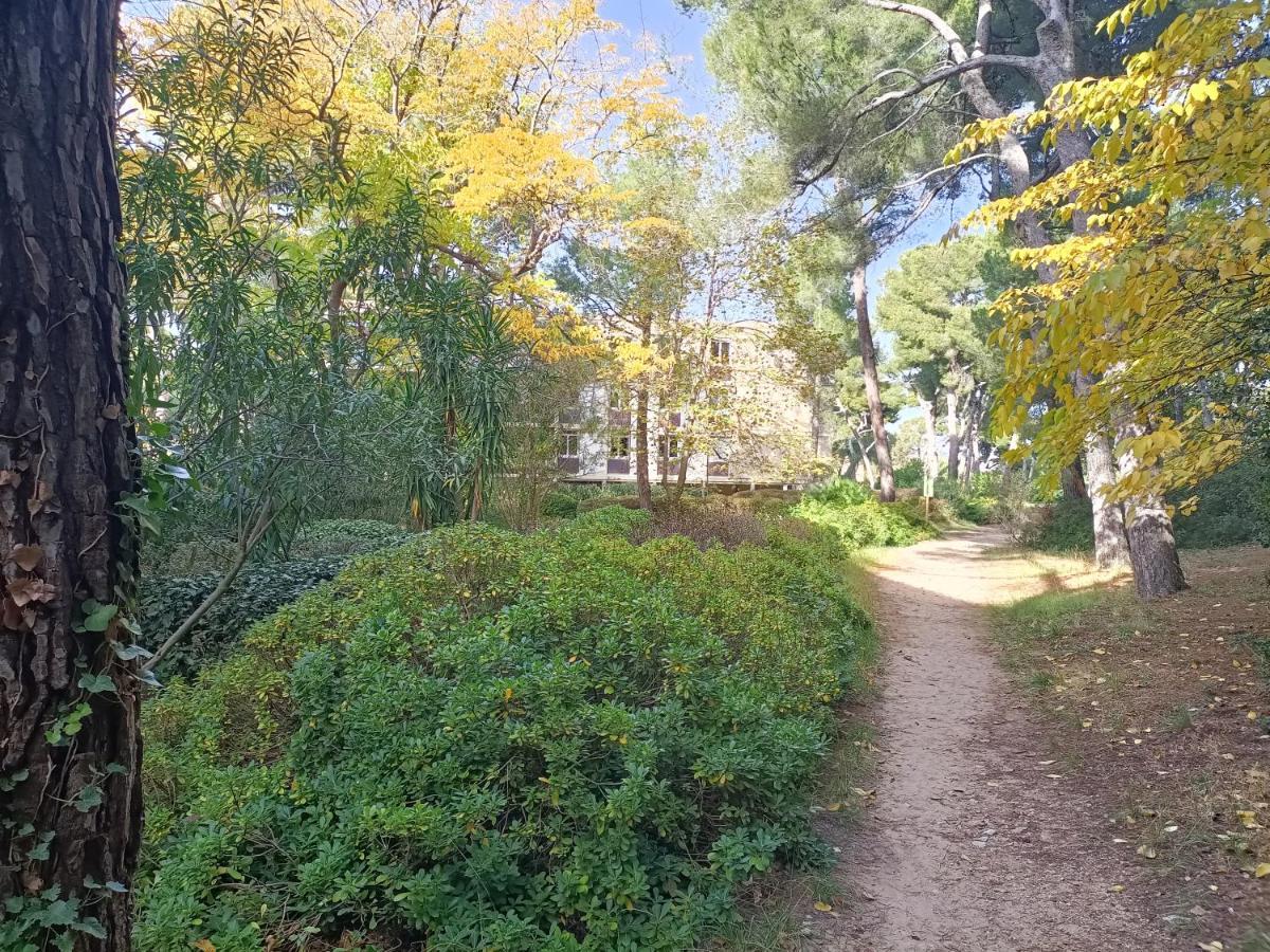 Vue Mer Et Montagne Dans Parc Du Roy D'Espagne, Up To 7 People مارسيليا المظهر الخارجي الصورة
